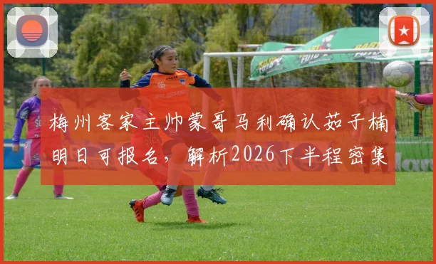 梅州客家主帅蒙哥马利确认茹子楠明日可报名，解析2026下半程密集赛程应对策略